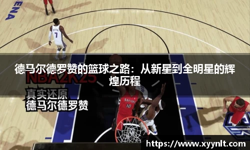 zoty中欧