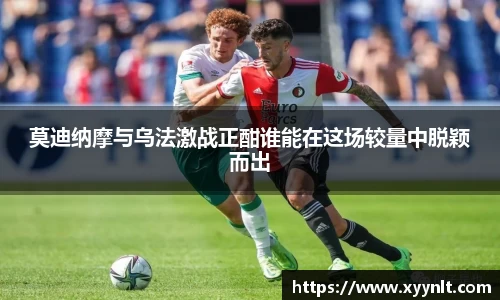 zoty中欧