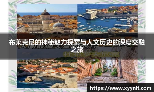 zoty中欧官网