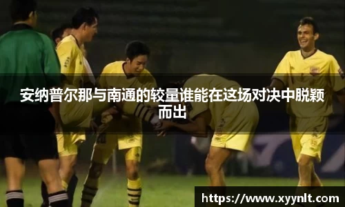 zoty中欧