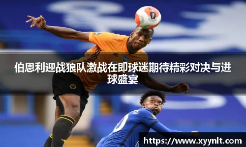 zoty中欧官网