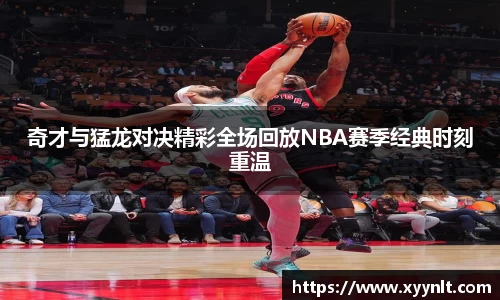 zoty中欧